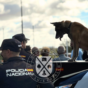Exhibición canina en el Colegio Diocesano